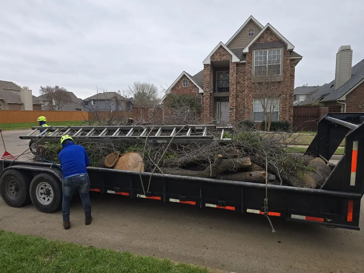 Expert Tree Pest Control with proper safety equipment in Immaculata